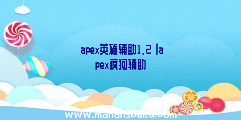 「apex英雄辅助1.2」|apex疯狗辅助